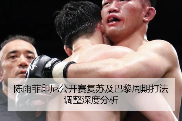 陈雨菲印尼公开赛复苏及巴黎周期打法调整深度分析